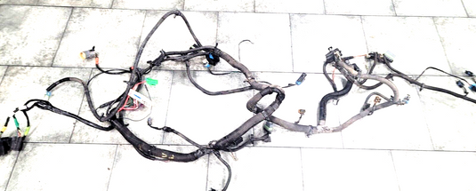 01-04  Corvette C5 Front Headlights & ABS EBCM Module Wiring Harness 7000-A2.1